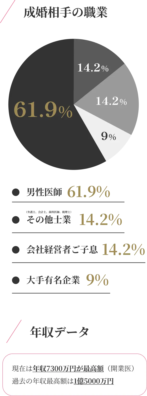 成婚相手の職業、男性医師61.9%、その他士業年収データ14.2%、会社経営者ご子息14.2%、大手有名企業9%